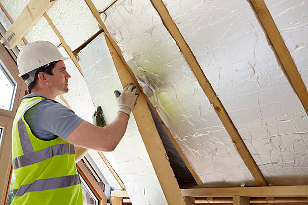 Best Spray Foam Insulation  in Williamson, WV